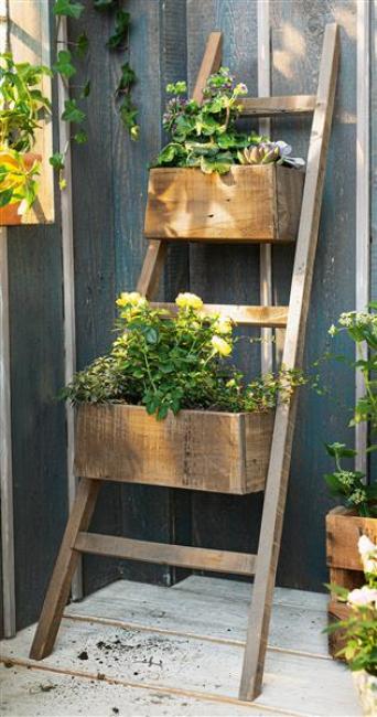 Preview: Pflanzleiter 'Rustikal', 110 cm hoch, Upcycling Pflanzer, Blumen & Pflanztopf