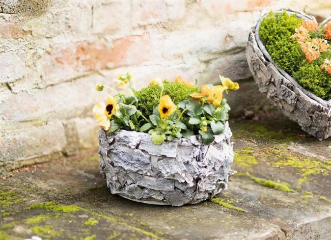 Preview: Pflanzer aus Holz & Birkenrinde, rustikal, rund, Pflanzschale, Pflanzgefäß, Blumentopf, Gartendeko für Draußen