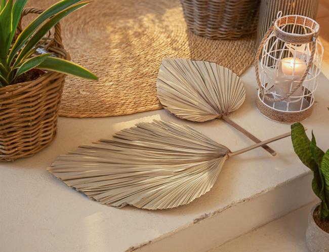 2x Dekoblatt "Palme" Naturprodukt, Palmenblatt, 50 - 70 cm groß