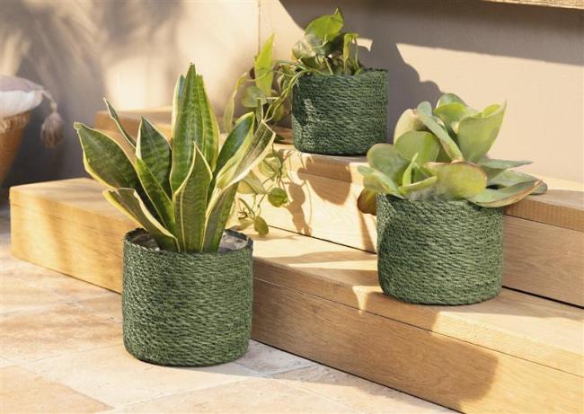 Preview: 3x Pflanzkorb "Green" aus Seegras, grün, Blumentopf, Pflanzkübel, Pflanztopf für Drinnen & Draußen, Blumenkübel