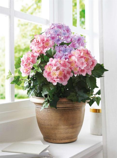 Kunstpflanze "Hortensie" im goldenen Topf, 55 cm hoch, künstliche Hortensien, Dekopflanze, Topfpflanze