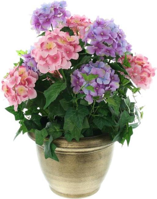 Preview: Kunstpflanze "Hortensie" im goldenen Topf, 55 cm hoch, künstliche Hortensien, Dekopflanze, Topfpflanze