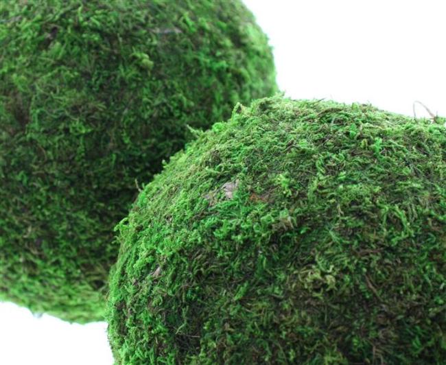Preview: 2x Dekohänger "Mooskugel" Ø 18 + 23 cm, Hängedeko für Äste & Zweige, Fensterdeko zum Aufhängen, Frühlingsdeko hängend