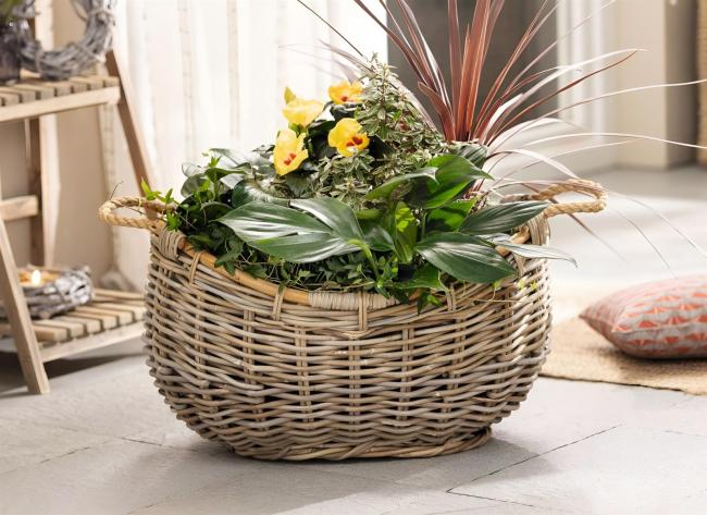 XXL Pflanzkorb "Koobo Grey" aus Rattan, 58 x 43 cm, Blumentopf, Pflanzkübel, Pflanztopf, Blumenkorb