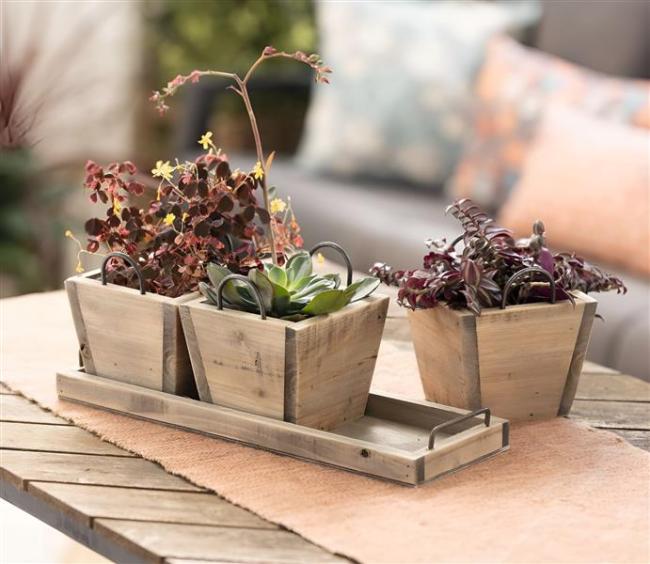 Preview: 3 Mini Pflanztöpfe mit Tablett, aus recyceltem Holz, Blumentopf für In- & Outdoor, Pflanzgefäß eckig, Pflanzkübel