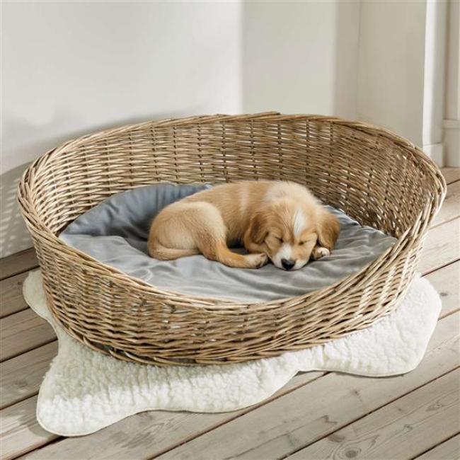 Preview: Hundekorb "Koboo Grey" aus Weide, Gr. XL 90x70 cm, Hundebett für mittelgroße Hunde, Tierbett mit Kissen, Weidenkorb