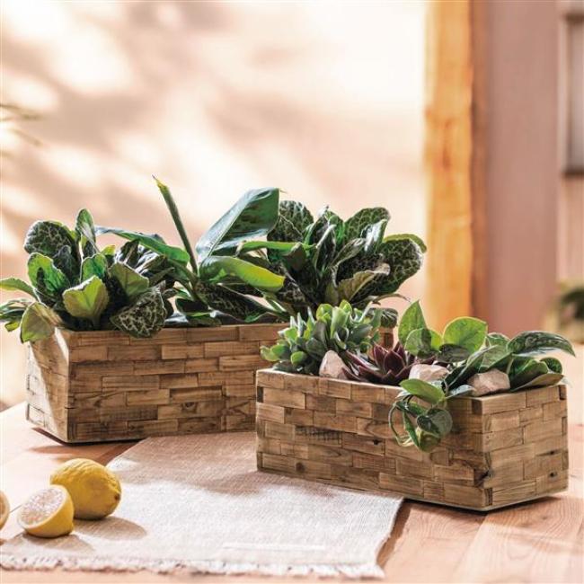 Preview: 2x Pflanzkasten "Puro" aus recyceltem Holz, Blumenkasten, Pflanzentopf für Zimmerpflanzen, Blumentopf