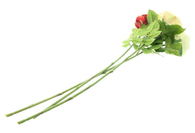 Preview: 3x Kunstblume "Rosen" 69 cm groß, wie echt, Real Touch Effekt, Kunstblüten, künstliche Rosen mit Stiel, Blüten & Knospen, ewige Rose
