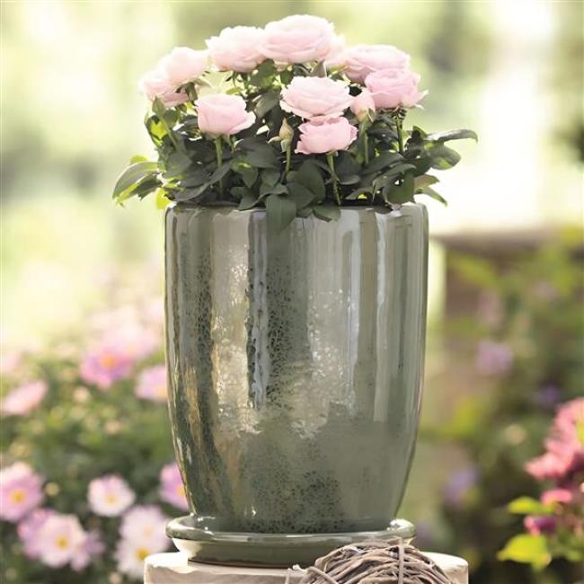 Preview: Pflanztopf "Oliv" mit Untersetzer, 2-tlg., Blumentopf aus Terracotta, grün, Indoor & Outdoor Blumenkübel, Pflanzentopf