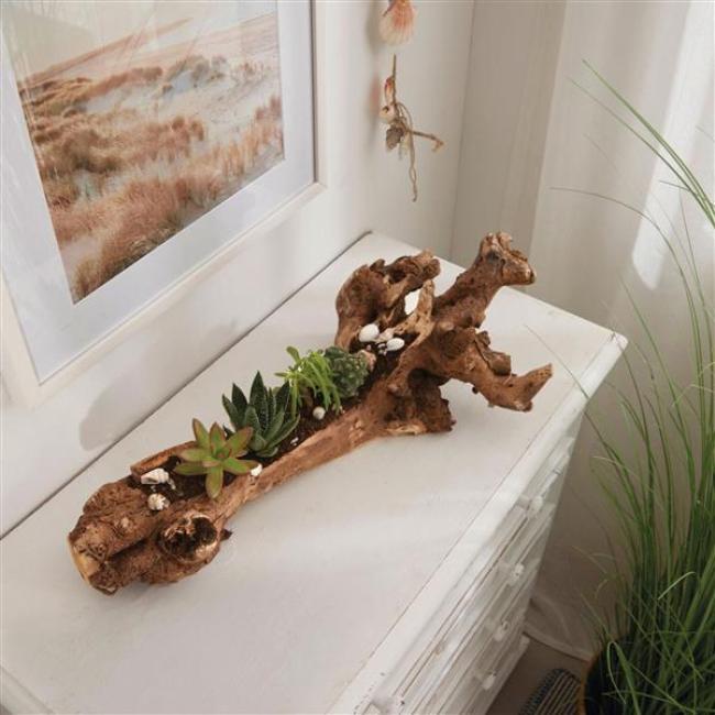 Preview: Holzdeko "Wurzel" Dekoschale 50 cm lang, rustikal Tischdeko, natur Holzschale aus Wurzelholz