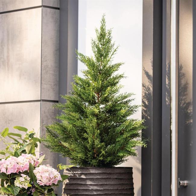 Kunstpflanze "Konifere" künstliche Pflanze wie echt, 91 cm hoch, Kunstbaum im Topf, Kunstpflanzen immergrün