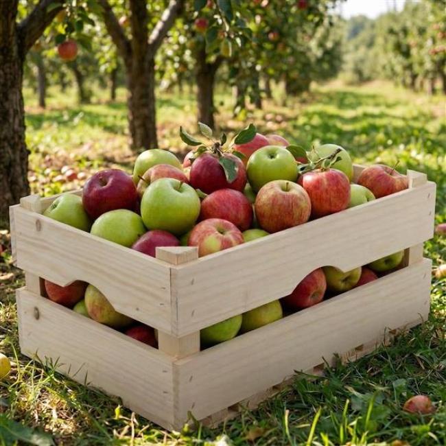 Preview: Holzsteige natur 39x26x16 cm, Weinkiste Apfelkiste Obstkiste Holzkiste Holzbox