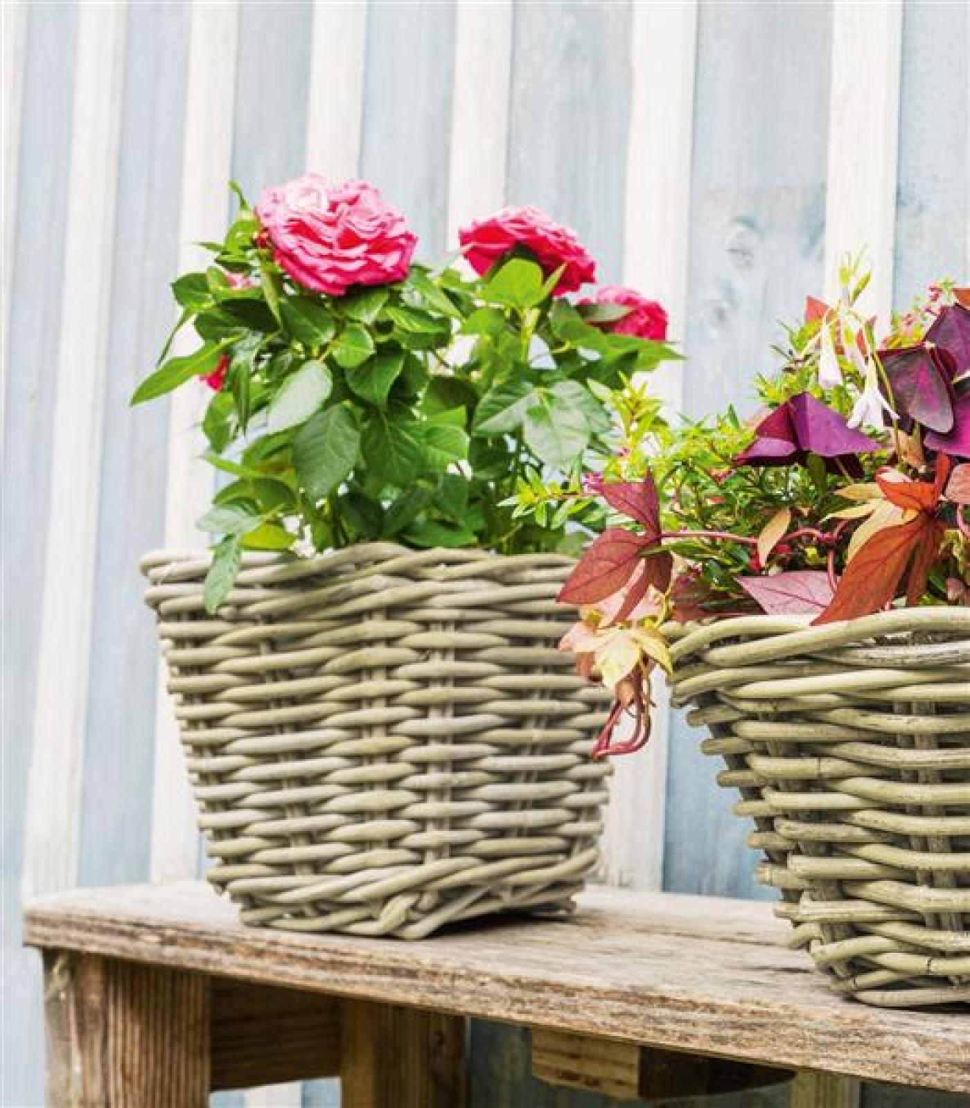 Pflanzkorb "Koboo Grey" aus Rattan, quadratisch, grau, klein, Blumentopf, Pflanzkübel, Pflanztopf für Draußen, Blumenkübel