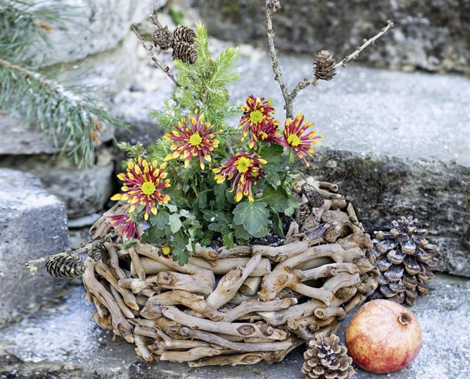 Pflanzer aus Treibholz rund, Ø 38 cm, Pflanzschale, Blumentopf, Pflanztopf, Pflanzgefäß, Gartendeko für Draußen