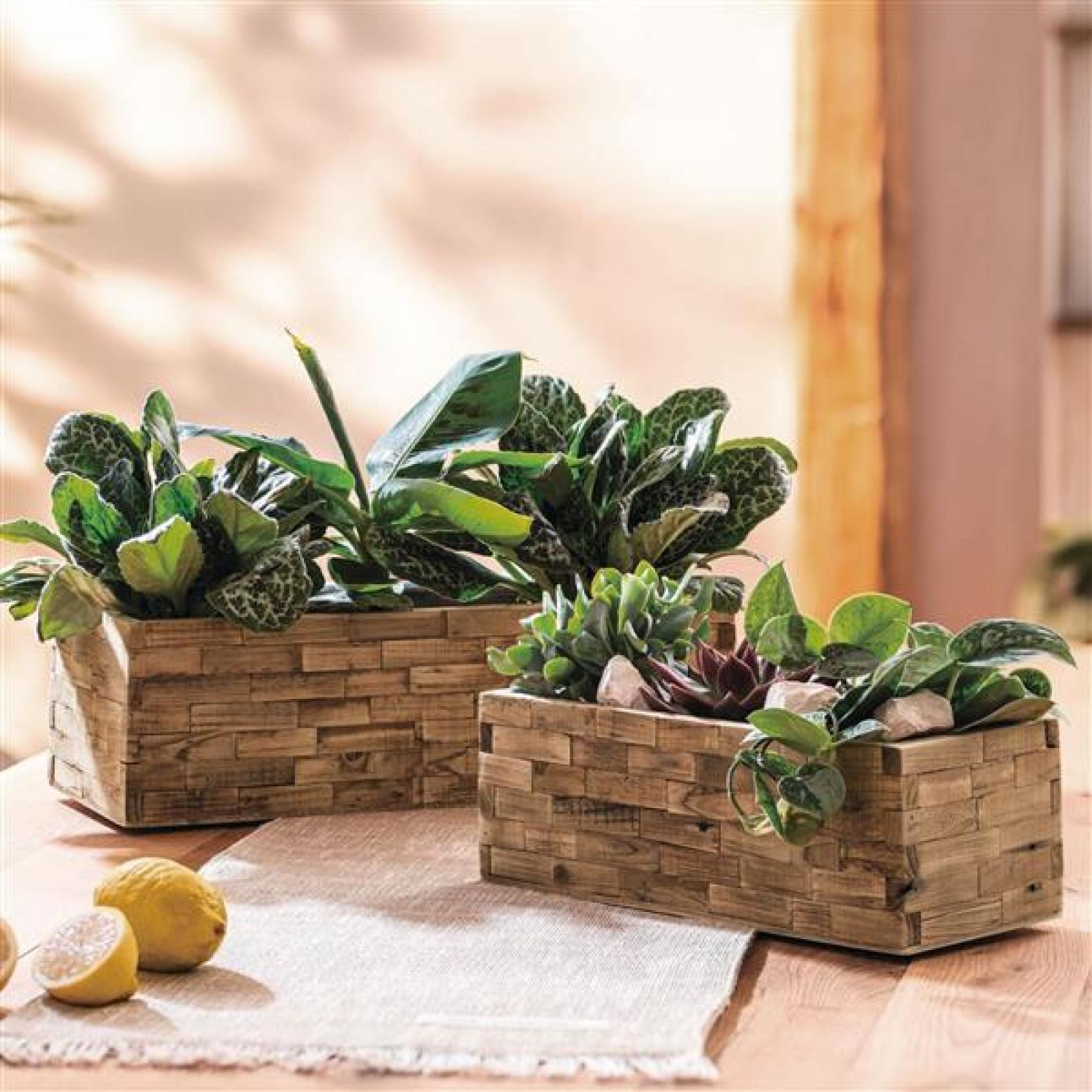 2x Pflanzkasten "Puro" aus recyceltem Holz, Blumenkasten, Pflanzentopf für Zimmerpflanzen, Blumentopf