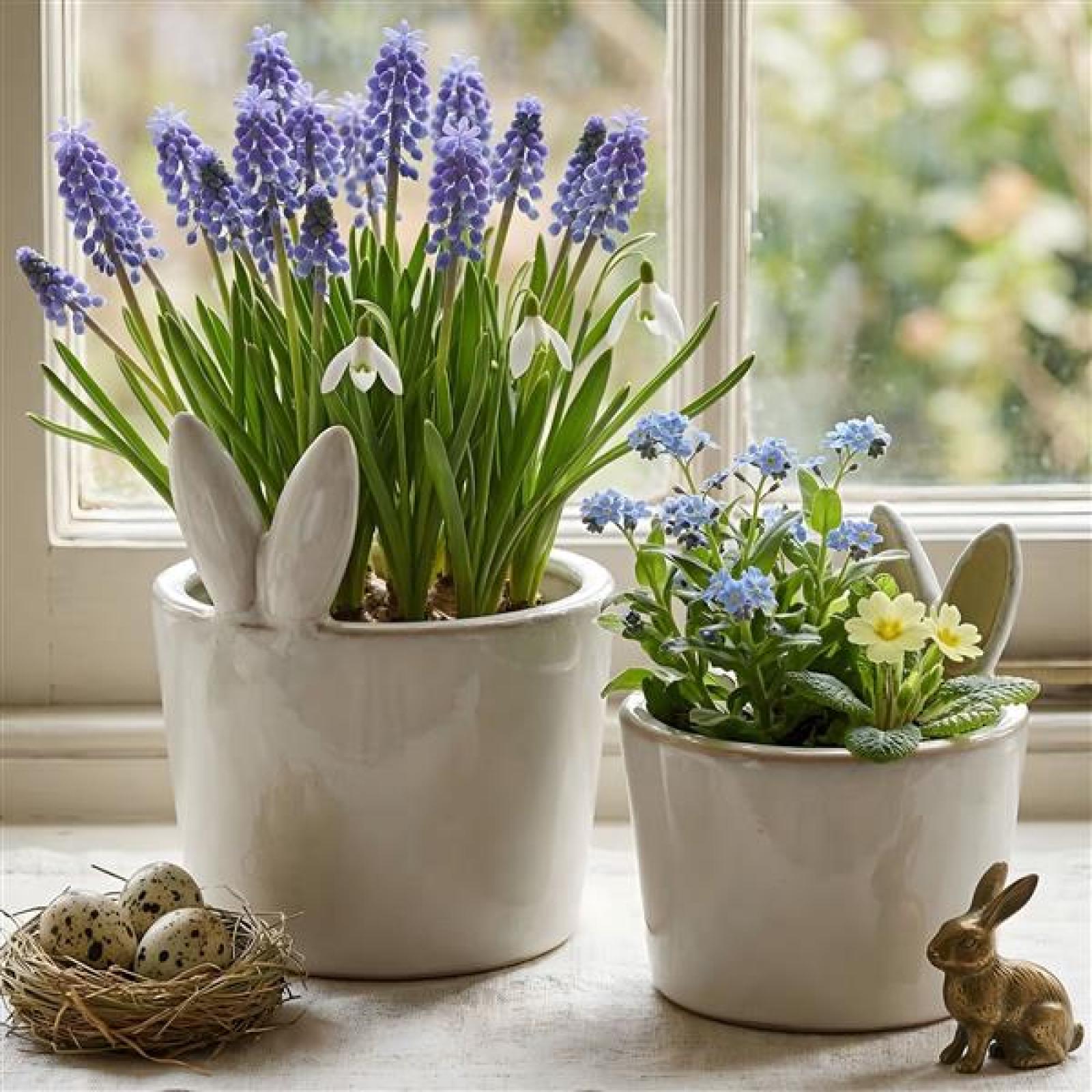 2x Blumentopf "Hasenöhrchen" aus Porzellan, creme-weiß & beige, Pflanztopf, Übertopf klein, Osterdeko