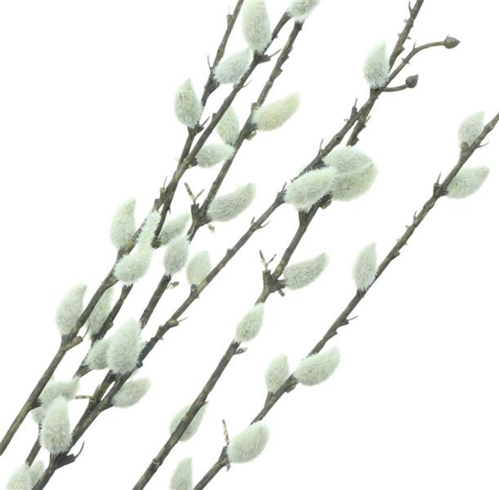 2x Dekozweig "Weidenkätzchen" 77 cm groß, Kunstblume in weiß, Kunstpflanze wie echt, Frühlingsstrauß künstlich
