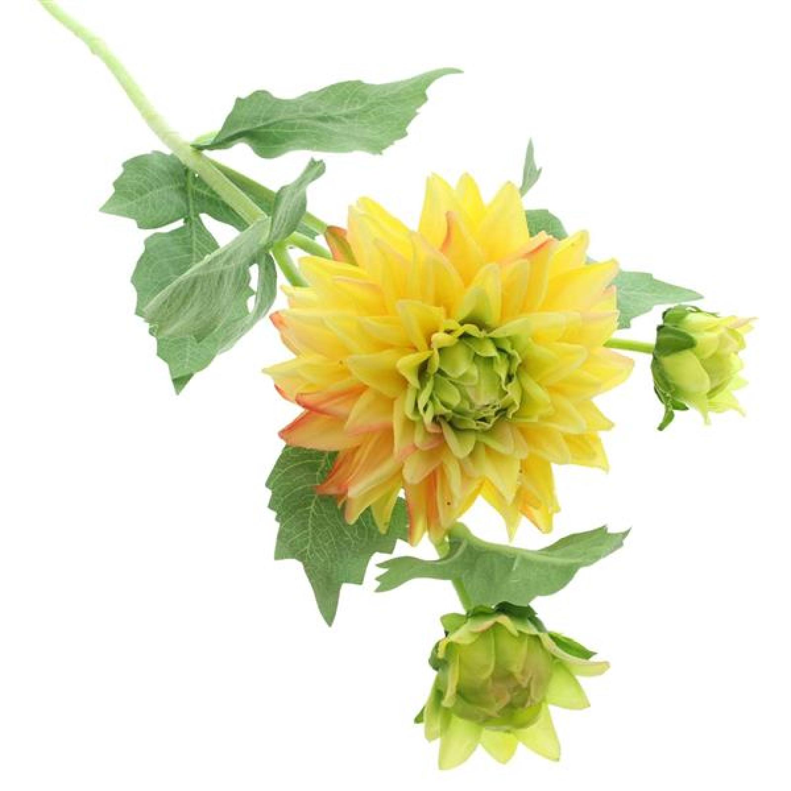 3x Kunstblume "Dahlie" 61 cm hoch, wie echt, Real Touch Effekt, Kunstblüten, künstliche Blumen mit Stiel, Blüten & Knospen