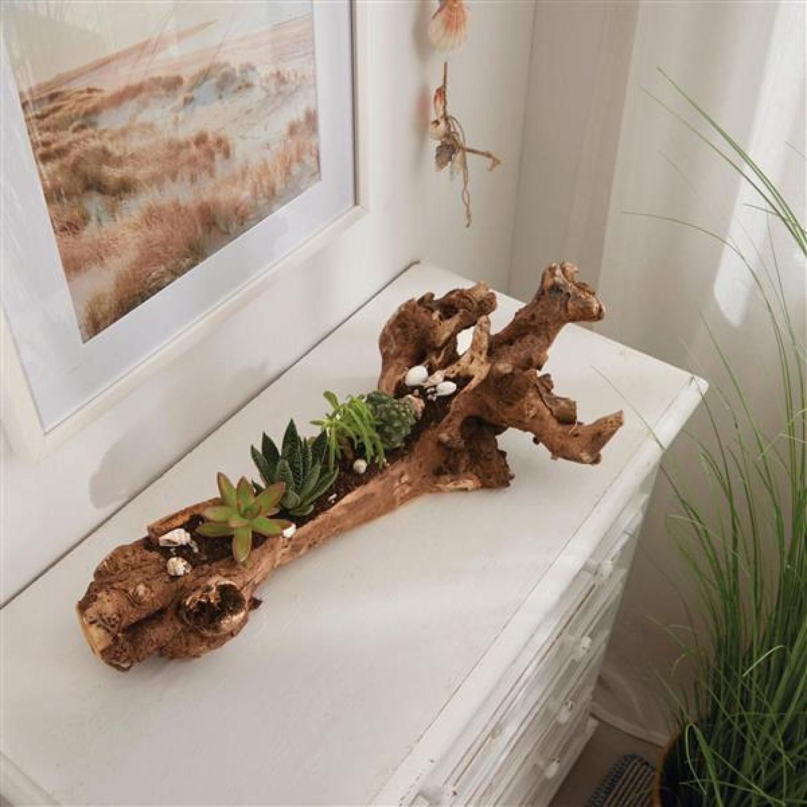 Holzdeko "Wurzel" Dekoschale 50 cm lang, rustikal Tischdeko, natur Holzschale aus Wurzelholz