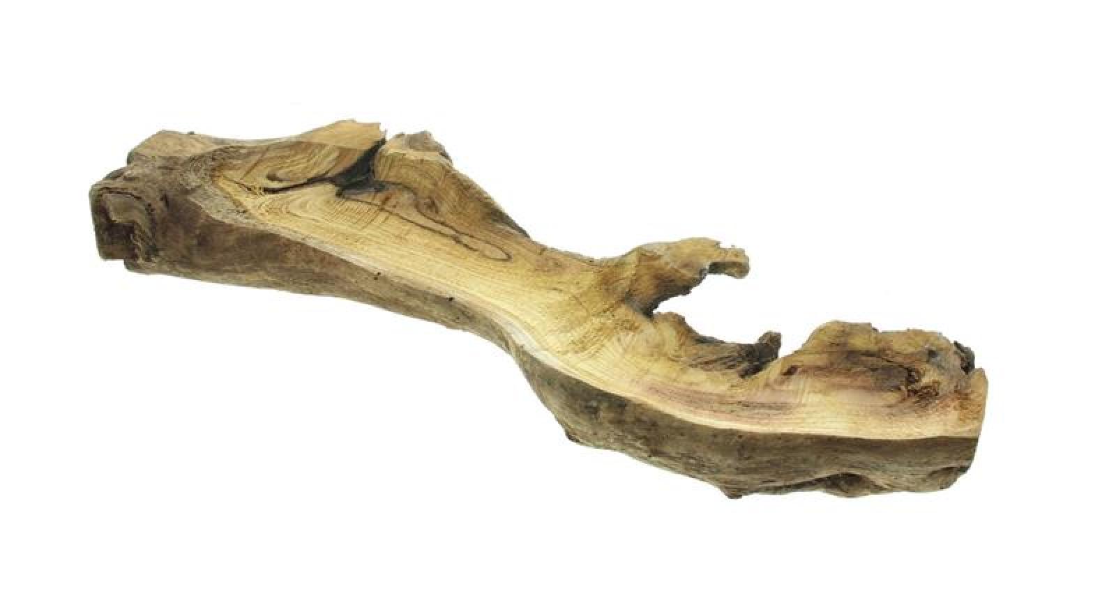 Holzdeko "Wurzel" Dekoschale 50 cm lang, rustikal Tischdeko, natur Holzschale aus Wurzelholz